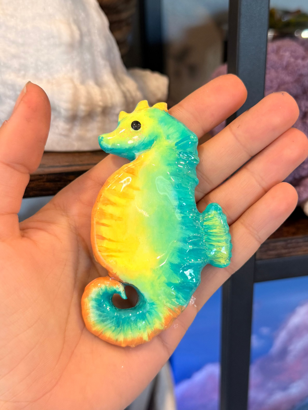 Multicolor Sea Horse Worry Stone