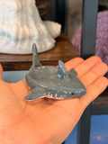 Great White Shark Worry Stone