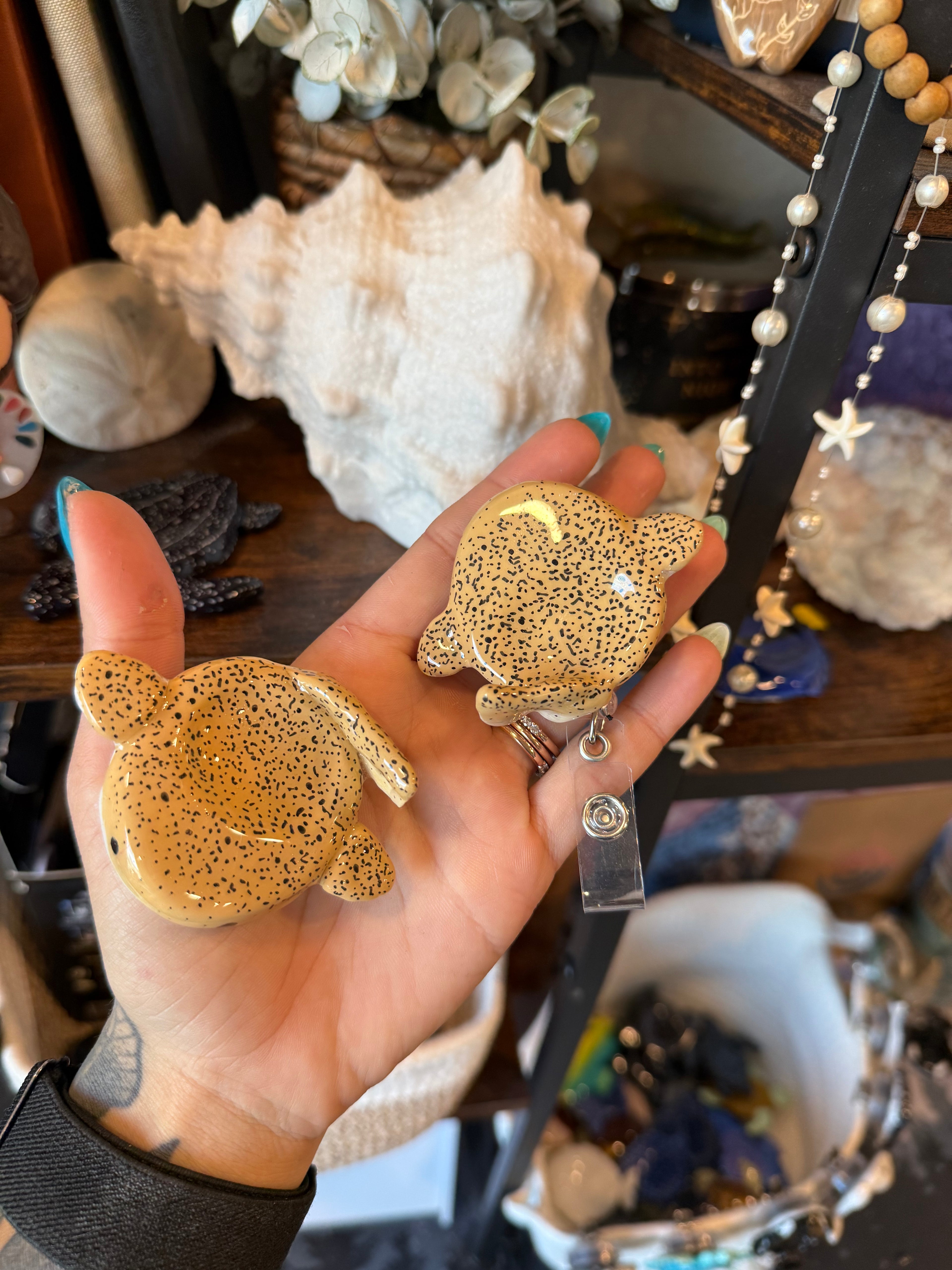 Zebra Shark Worry Stone