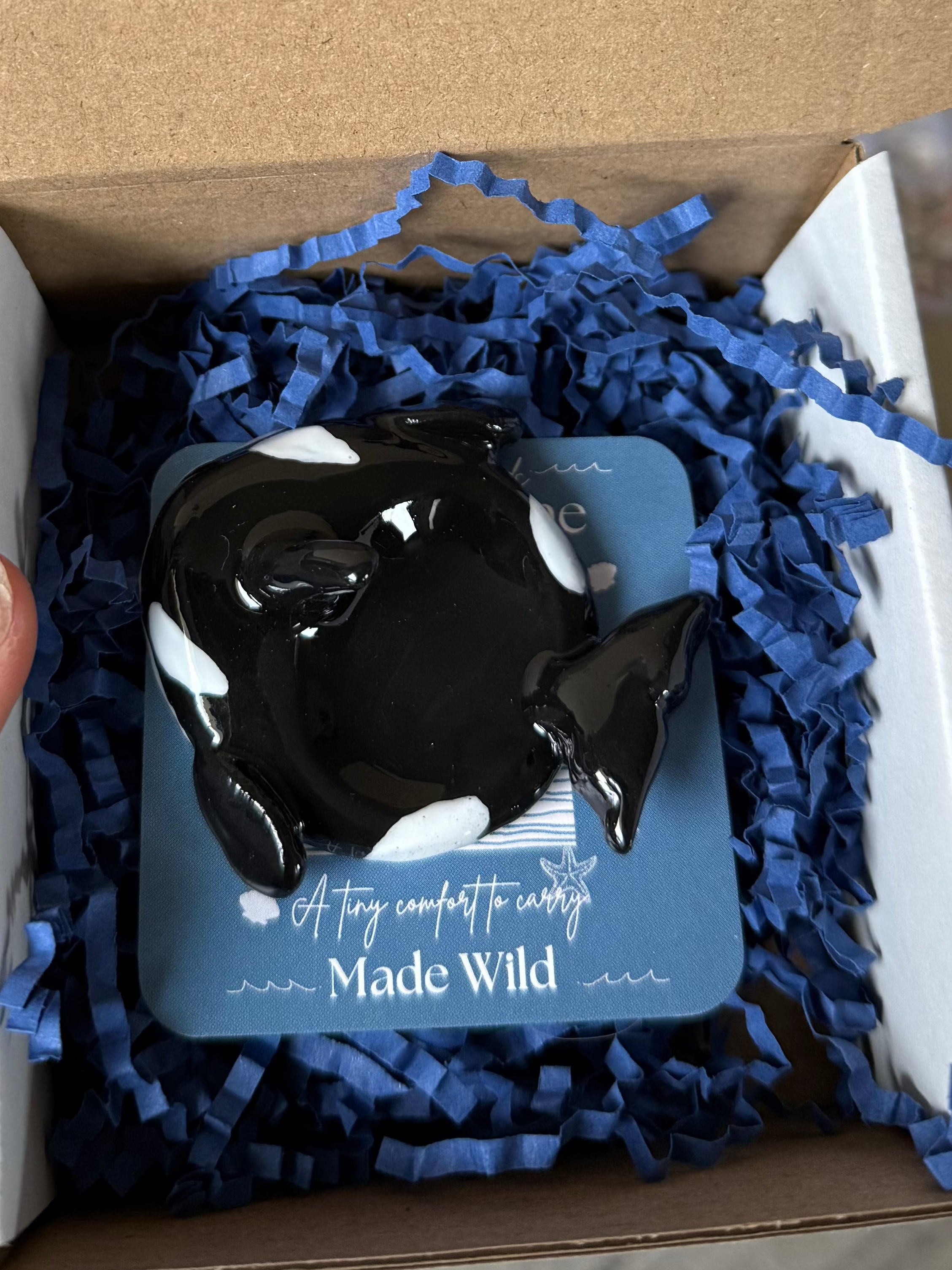 Orca Worry Stone