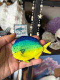 Mahi Mahi Worry Stone