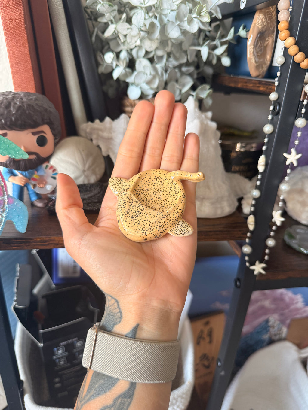 Zebra Shark Worry Stone
