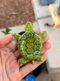 Painted Turtle Worry Stone