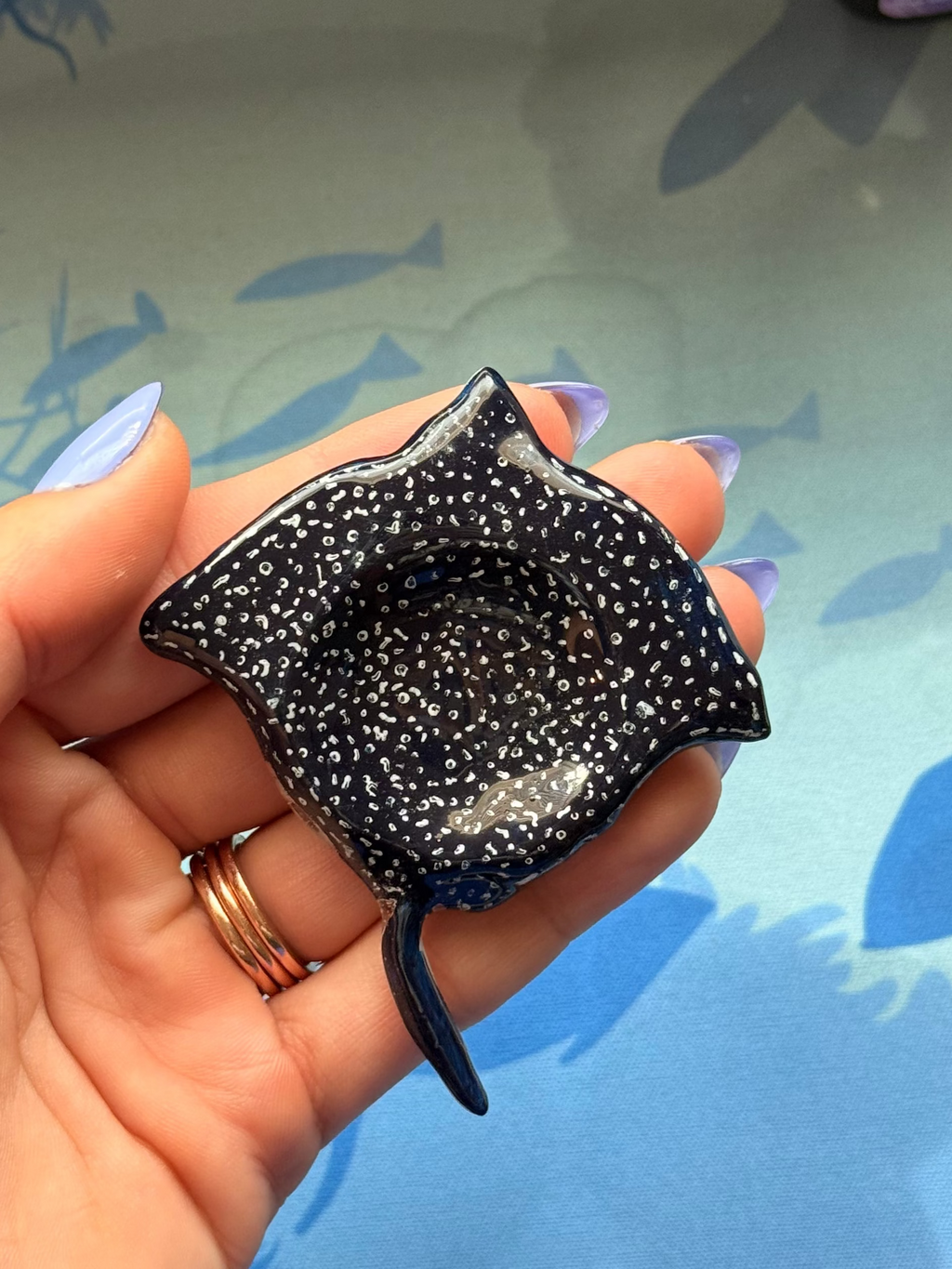 Eagle Ray Worry Stone