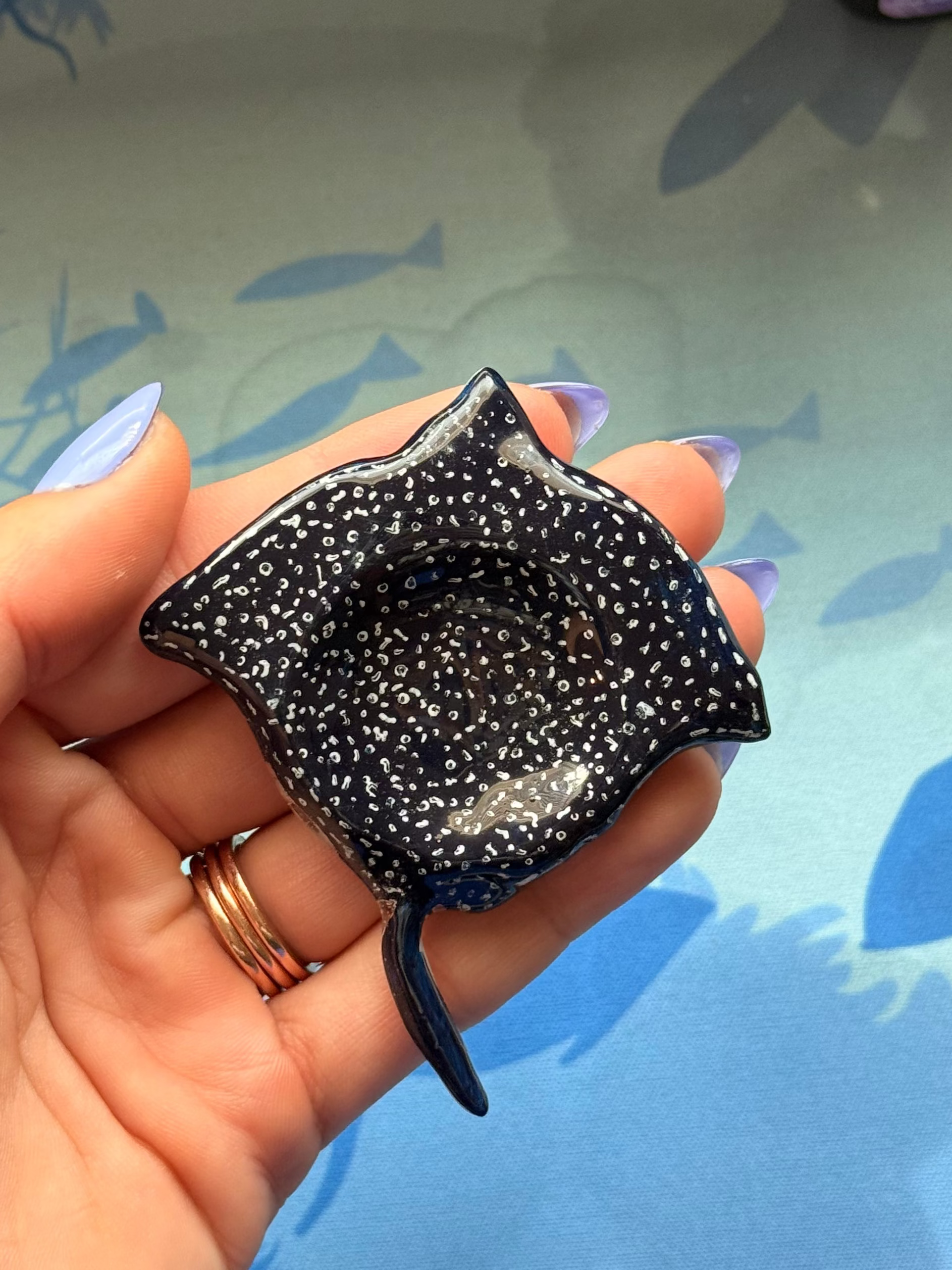 Eagle Ray Worry Stone