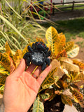 Spider Worry Stone