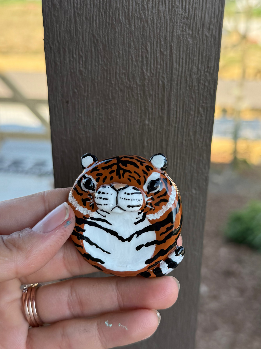 Tiger Worry Stone