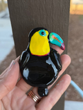Rainbow-billed Toucan Worry Stone