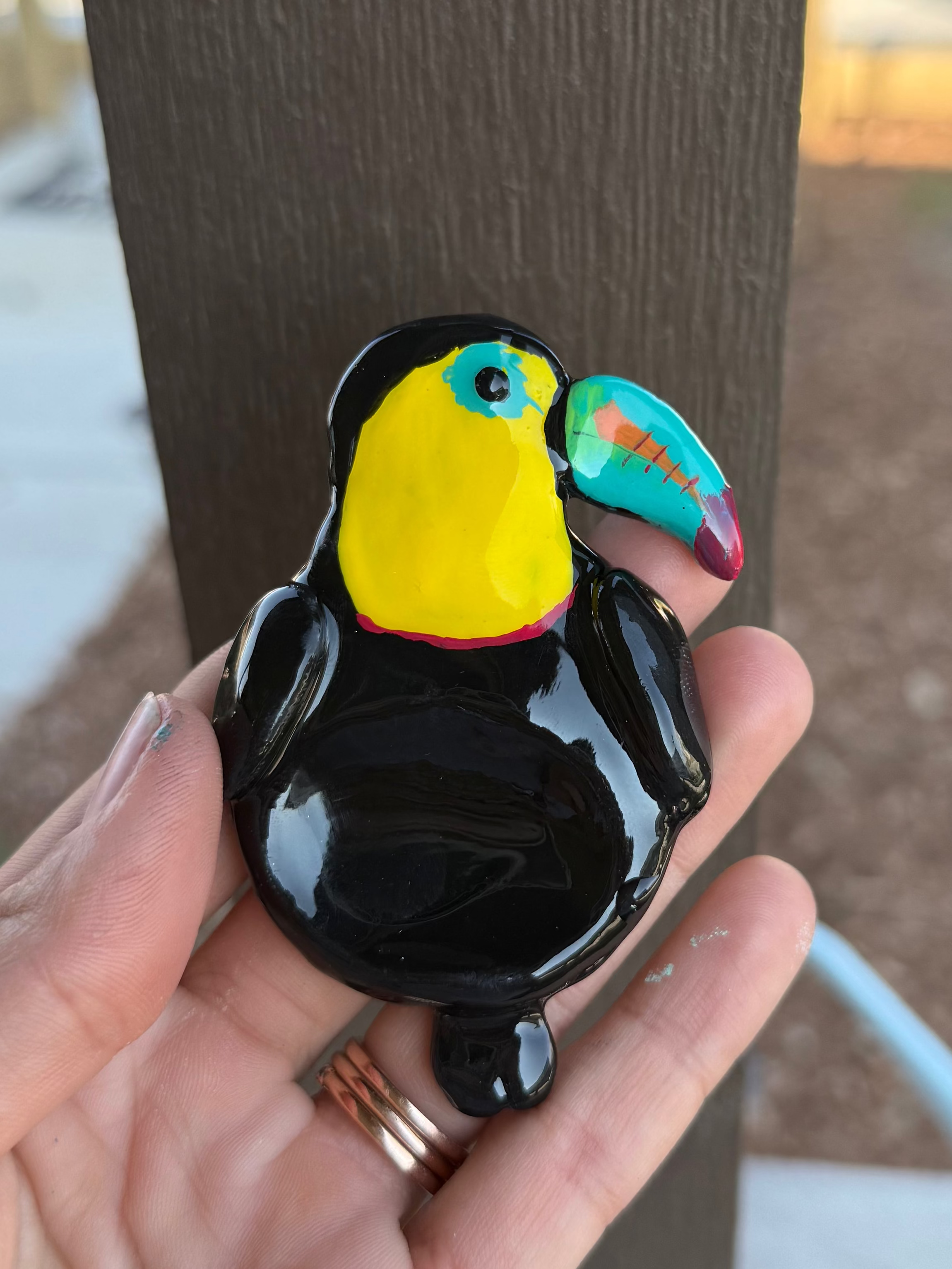 Rainbow-billed Toucan Worry Stone